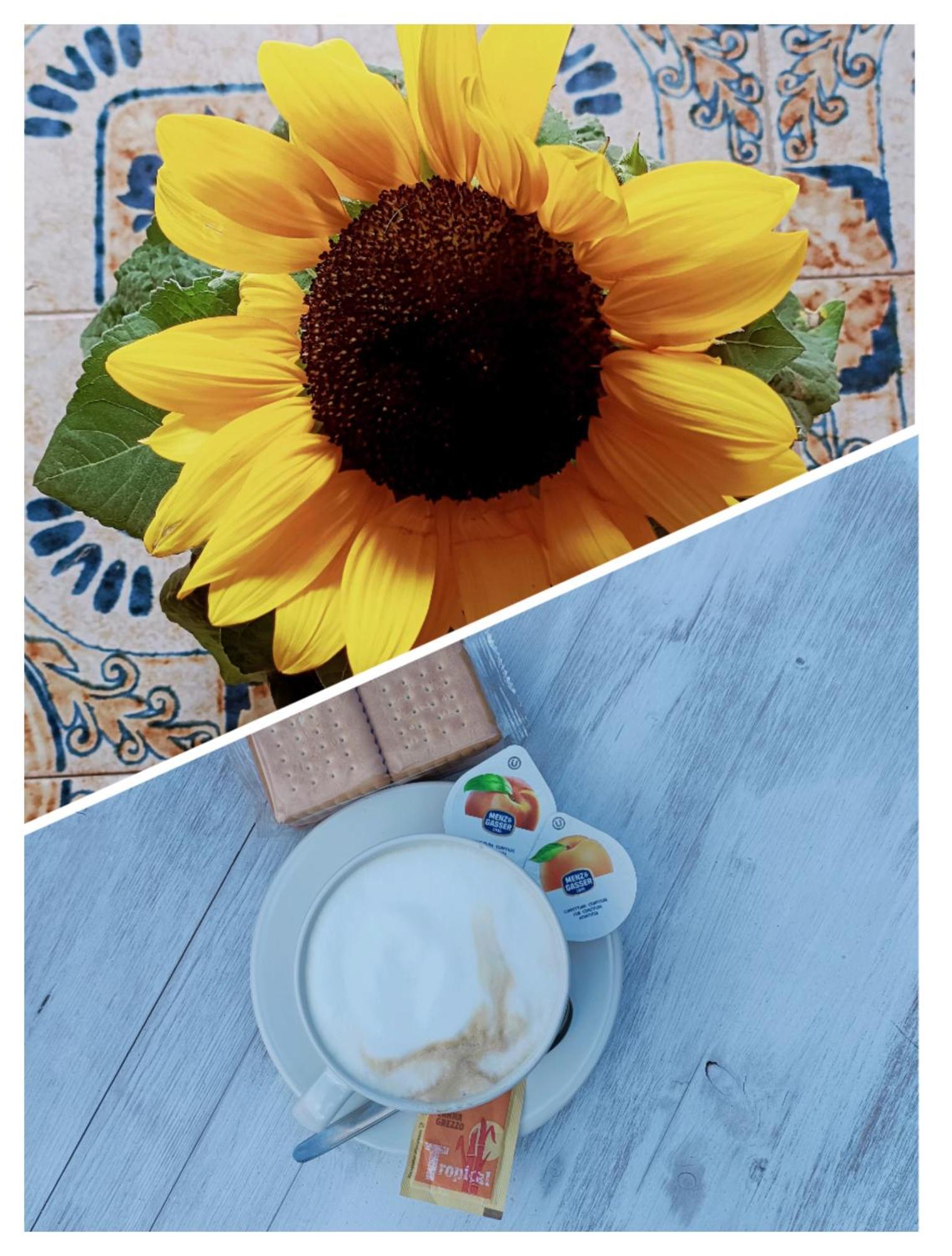 B&B Il Girasole Finale Ligure Zewnętrze zdjęcie